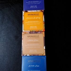 4 pack of spongelle sponges